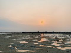 景点-红树林天天赶海