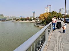 -映月湖中央公园
