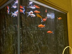 -圣爵菲斯大酒店(长沙世界之窗店)