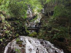 -藏龙百瀑风景区