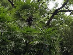 -柳侯公园