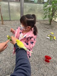 -萌宠亲子动物乐园(槐房万达店)