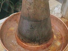 -東豫狼鲜货烧烤. 碳火烤鱼. 小龙虾(上海首店)