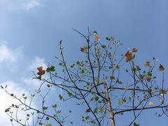 -白塘生态植物园