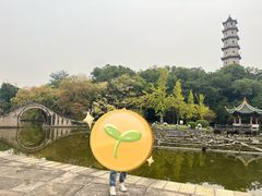 -江心屿景区