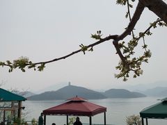 -望湖烤鱼