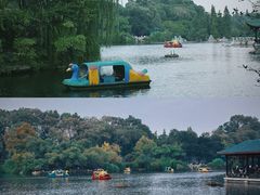 -桂湖森林公园