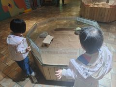 -大连圣亚海洋世界