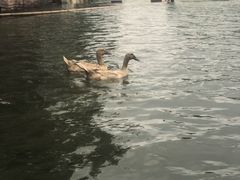 -天目湖松岭竹海漂流