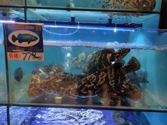 -南海渔家•海鲜•正宗海南菜(海棠湾店)