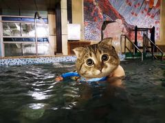 -南宫温泉水世界