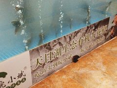 -皖小斌·小葱伴豆腐(丰收路店)
