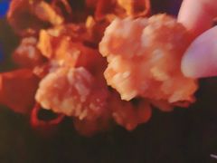 -MARU玛露音乐餐厅(大学路店)