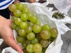 -美家乐农庄·露营·团建(大治路店)