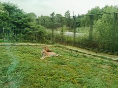 -上海野生动物园
