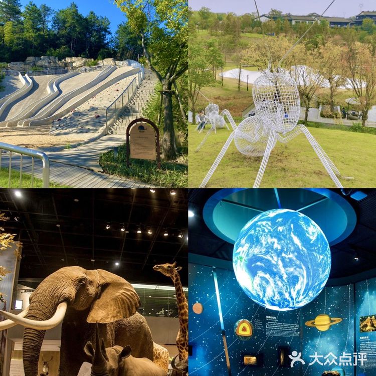 五一游安吉|带娃好去处，本地人良心推荐