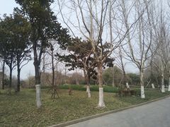 -上海吴淞炮台湾国家湿地公园