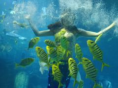 -太平洋海底世界