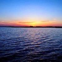 -薇兰专业脱毛连锁机构