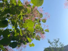 -周口店坡峰岭风景区