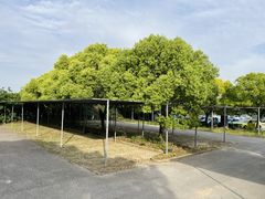 -上海瞻星停车场