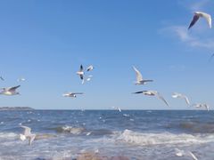 -老虎石海上公园