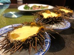 海胆蒸蛋-福来齐·鲁菜海鲜·渔家菜(朝阳街分店)