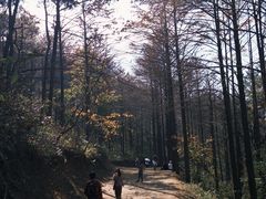-四明山国家森林公园