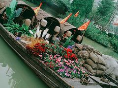 -江门古劳水乡旅游区