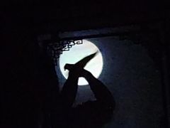 -盖碗儿梨园·变脸吐火·川剧(天府广场店)