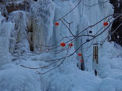 -黑龙潭风景区