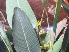 -天发长铁锅炖(王秀村店)