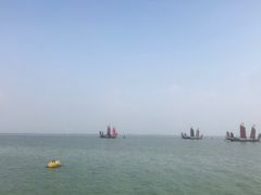 -贡湖湾湿地公园