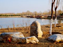 -东郊湿地公园