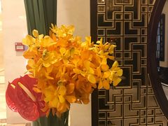 -常州武进九洲喜来登酒店