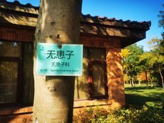 -上海海湾国家森林公园