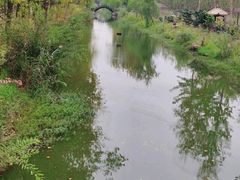 -合肥滨湖国家森林公园