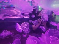 -石家庄海洋公园