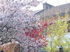 -天津五大道文化旅游区