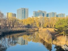 -大兴滨河森林公园