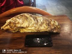 -土蚝·高压锅生蚝(百姓美食街店)