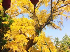 -无锡惠山寺