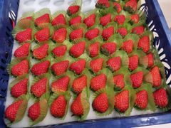 -百果园(长沙康桥长郡店)