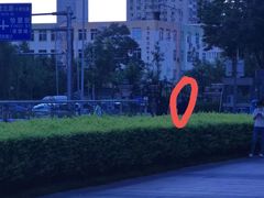 -远洋未来广场(育慧北路店)