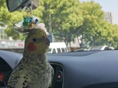 -重元寺香积厨素斋馆