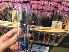 -富田农场