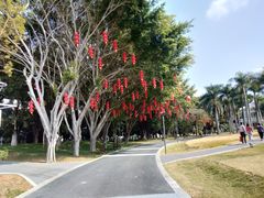 -华侨公园