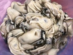 -蚝乡农庄(铁涌赤岸店)