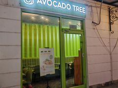 -油梨树AVOCADO TREE(顺义新国展店)