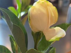 -巴蜀风月·聚会团建·生日宴(宝安店)